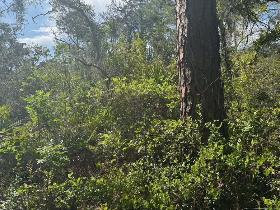 229 Caswell Ln, Lake Placid, FL 33852 - Image #2