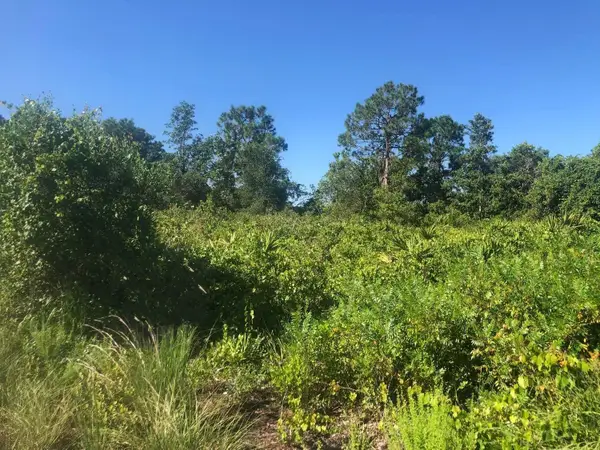 153 Disney Blvd, Avon Park, FL 33825