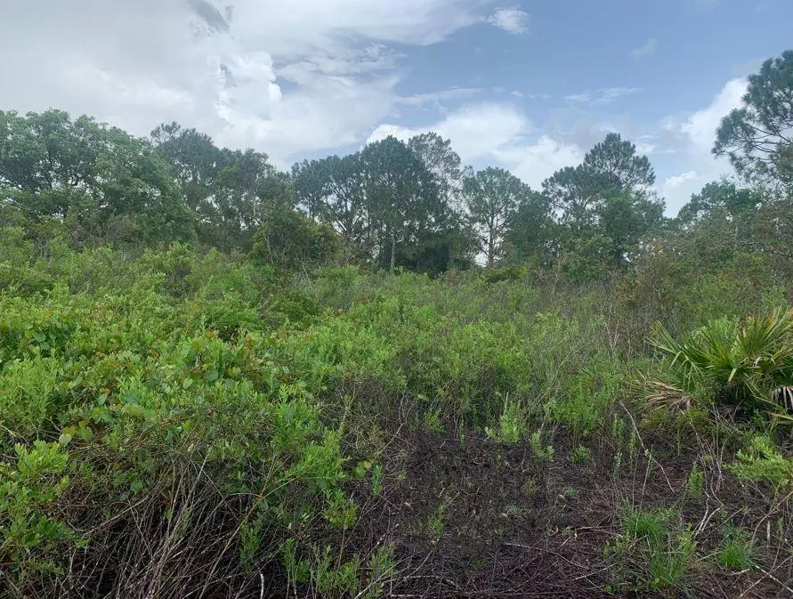 4105 Nogales Ave, Sebring, FL 33872 - Image #1