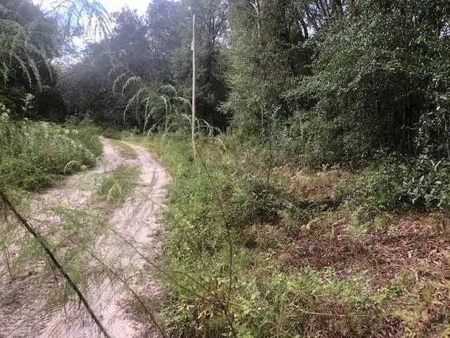 127 Sharon Drive, Satsuma, FL 32189 - Image #1