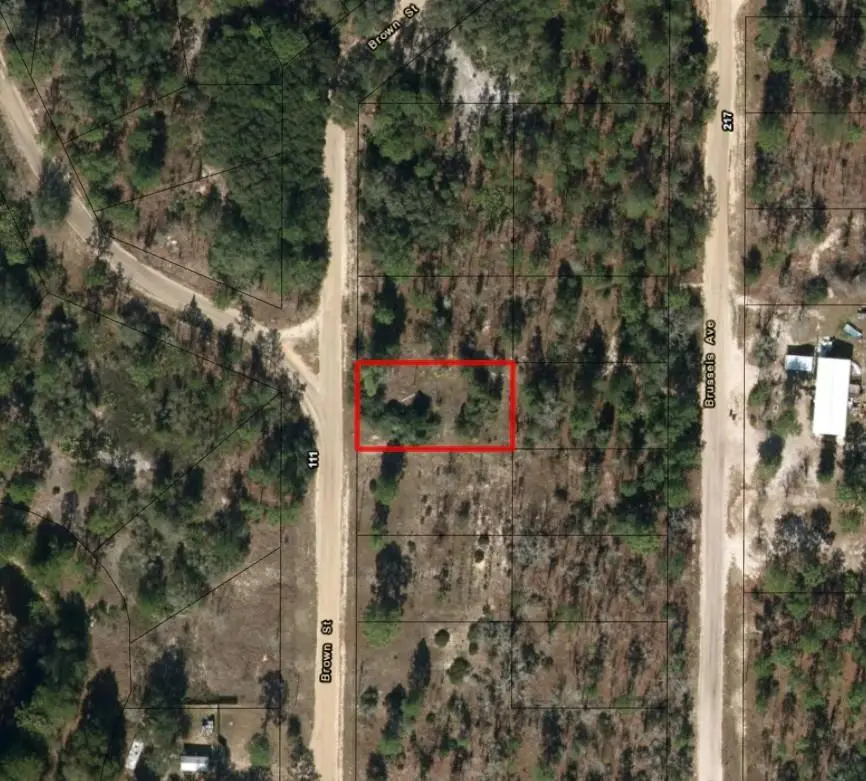 110 Brown St, Interlachen, FL 32148 - Image #2