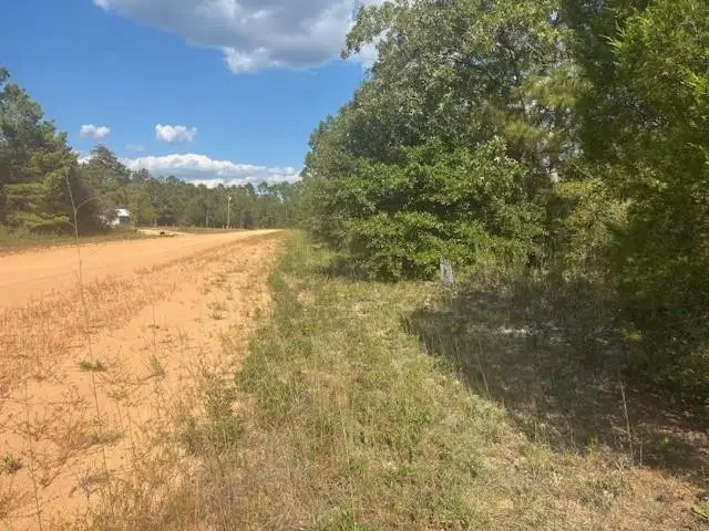 0 Nezperce Drive, Alford, FL 32420 - Image #1