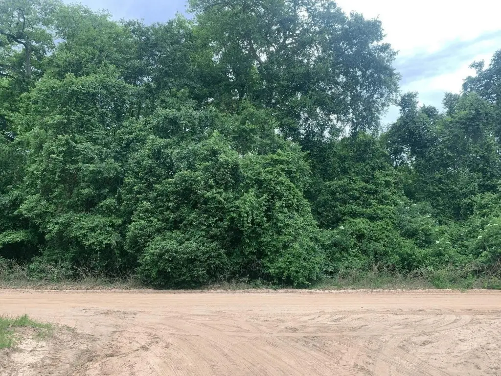 0 Ida Boulevard, Interlachen, FL 32148 - #1