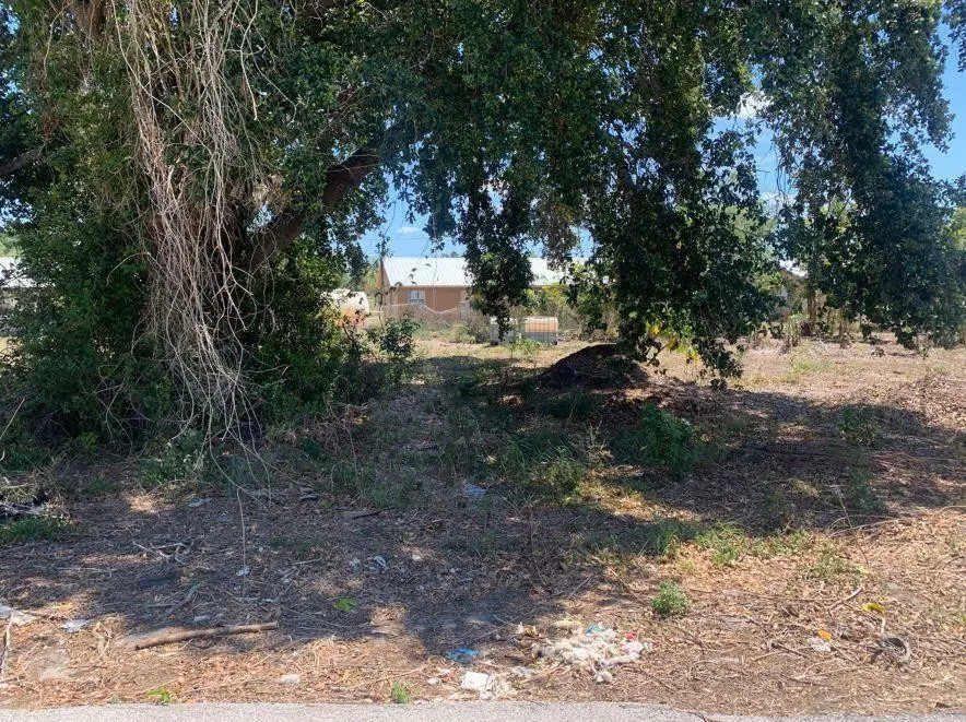 30 E Metcalfe Street, Avon Park, FL 33825 - Image #1