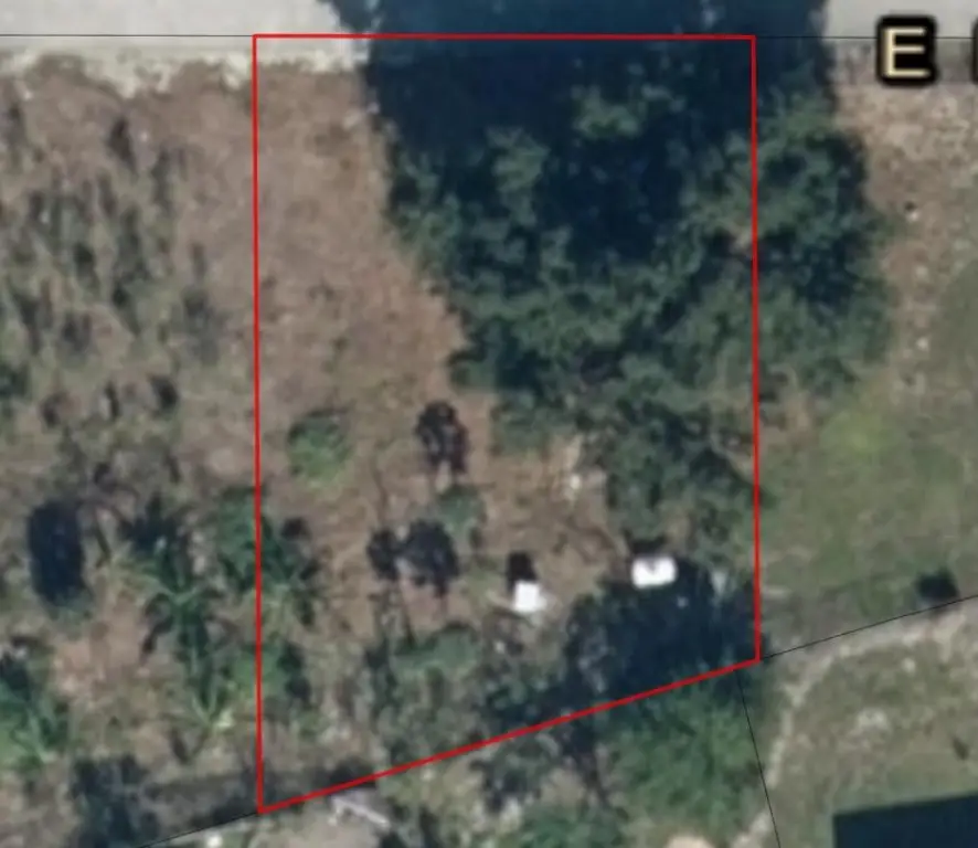 30 E Metcalfe Street, Avon Park, FL 33825 - Image #2