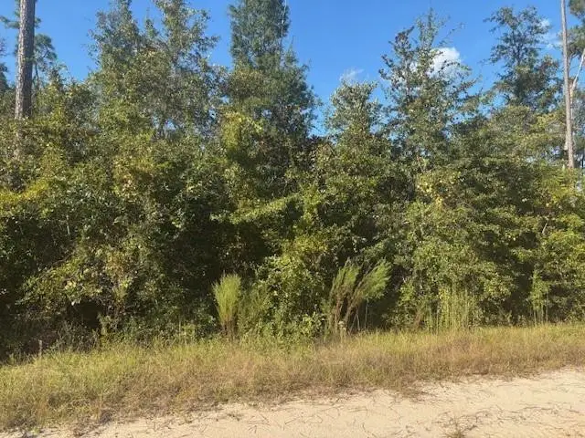 0 Mulberry Drive, Marianna, FL 32448 - #2