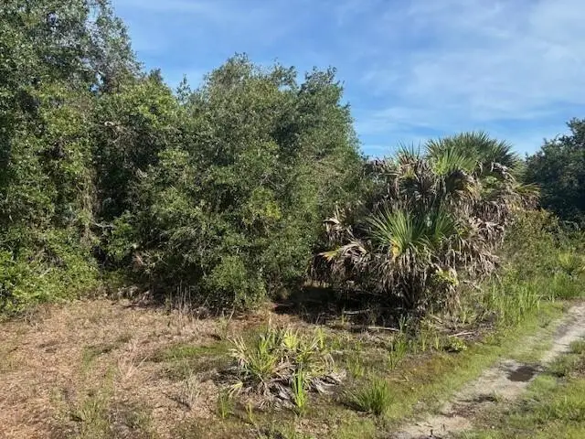 0 NW 304th St, Okeechobee, FL 34972 - Image #2