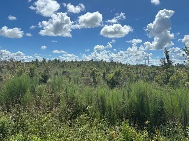 16072 NW 304th St, Okeechobee, FL 34972 - Image #1