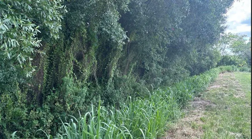 0 NE 13th Avenue, Okeechobee, FL 34972 - Image #1