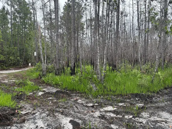 0 Holopaw Groves Rd, St Cloud, FL 34772