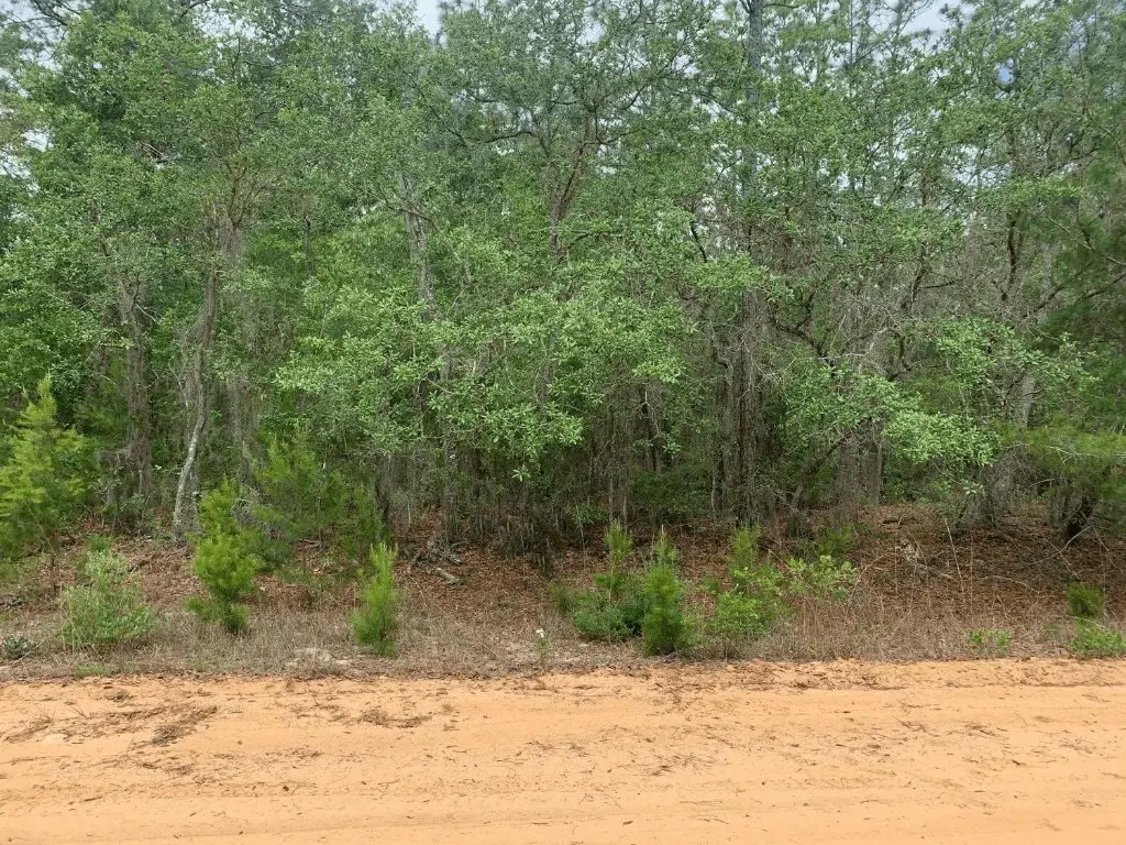 0 David Avenue, Interlachen, FL 32148 - Image #1