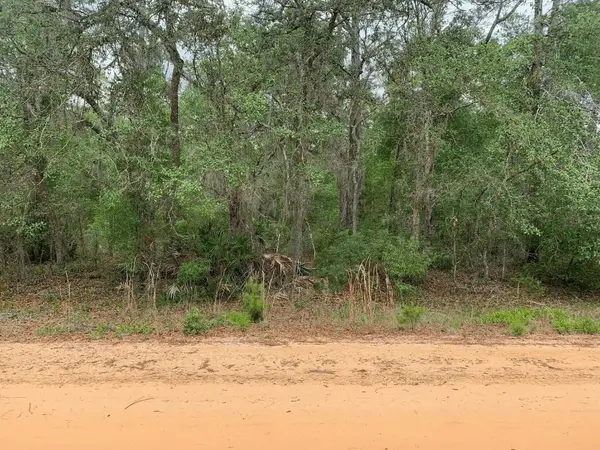 0 David Avenue, Interlachen, FL 32148