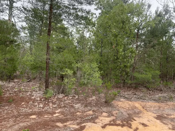 0 Gray St, Interlachen, FL 32148