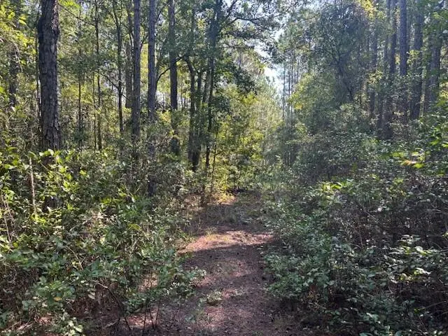 224 SE 8th Ave, Palatka, FL 32177 - Image #1