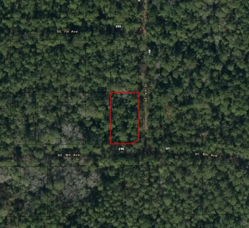 0 SE 8th Ave, Palatka, FL 32177 - Image #2