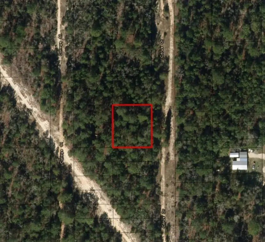 0 Citrus St, Interlachen, FL 32148 - Image #2