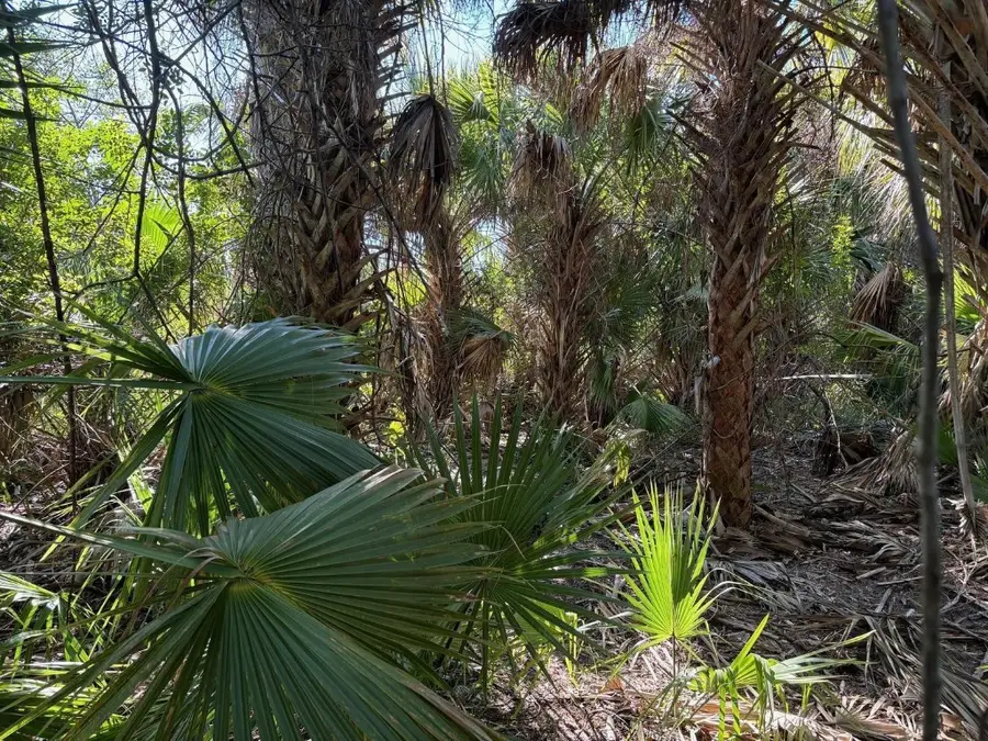 3223 SW Mockingbird Avenue, Palm Bay, FL 32908 - #3