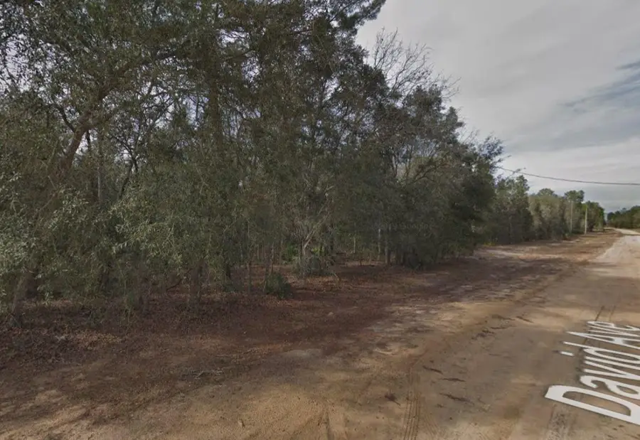 917 David Avenue, Interlachen, FL 32148 - Image #3