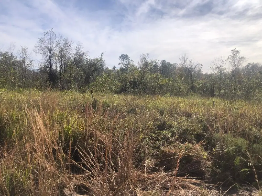 0 Polk City Road, Polk City, FL 33868 - Image #1