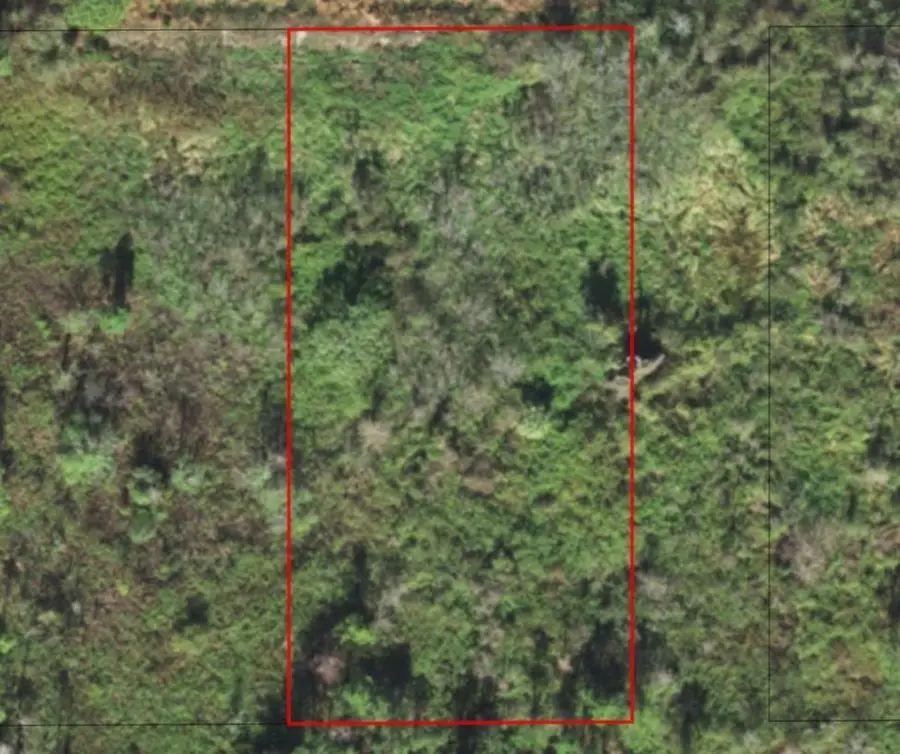 0 Polk City Road, Polk City, FL 33868 - Image #2