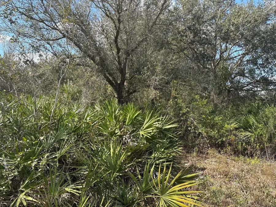 0 NW 300th St, Okeechobee, FL 34972 - Image #2