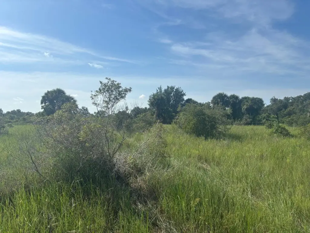 0 NW 308th Street, Okeechobee, FL 34972 - #1