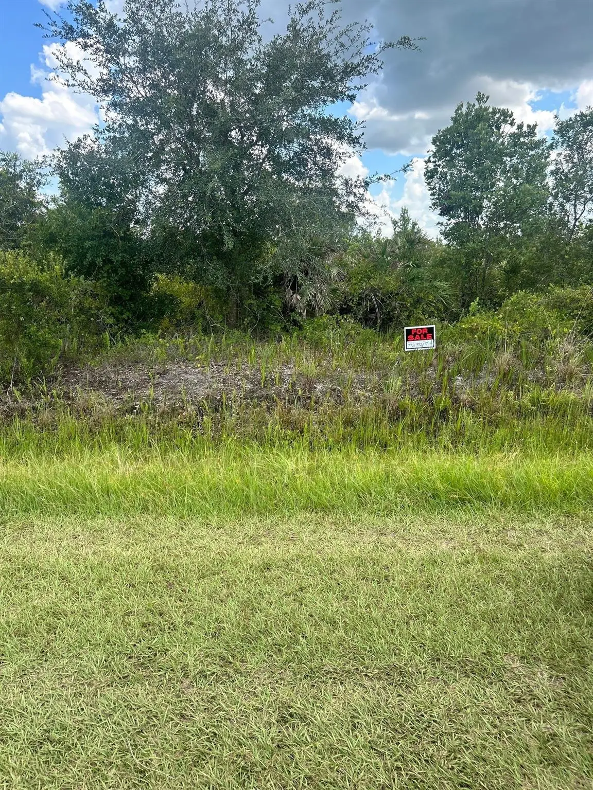 16114 NW 262nd St, Okeechobee, FL 34972 - Image #1