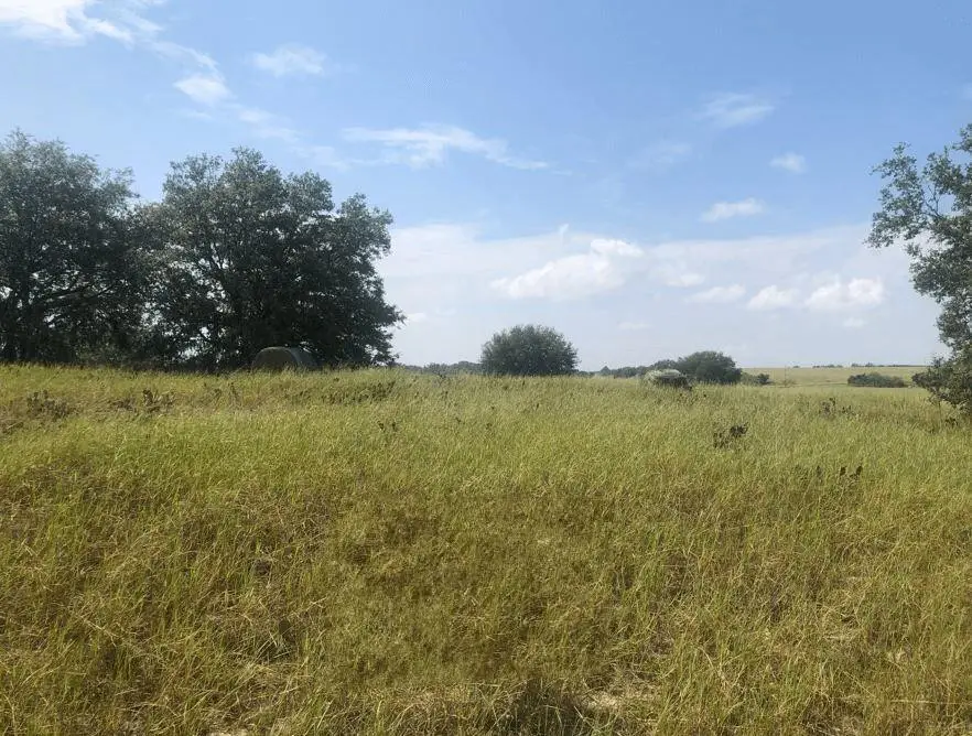 0 Libby Road, Babson Park, FL 33827 - #1