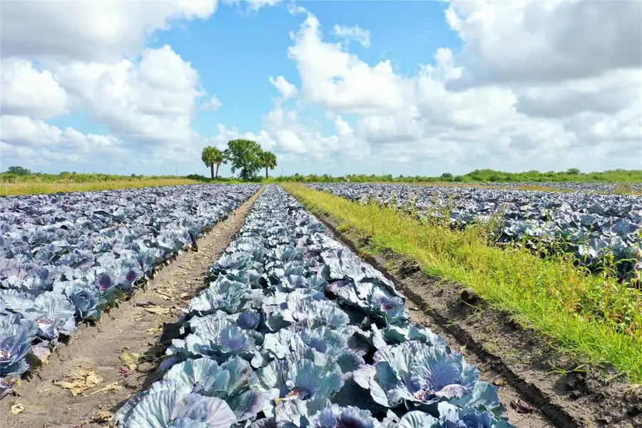 23481 NW 144th Avenue, Okeechobee, FL 34972 - Image #2