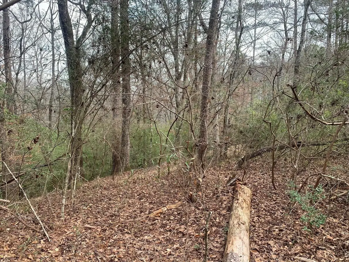 0 Griffin Circle, Westville, FL 32464 - Image #1