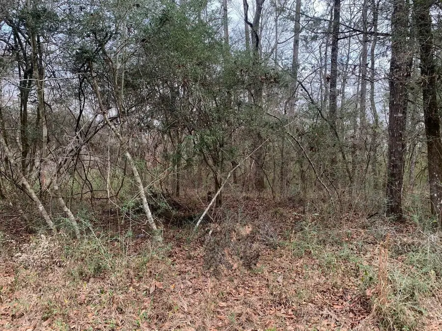 0 Griffin Circle, Westville, FL 32464 - Image #2