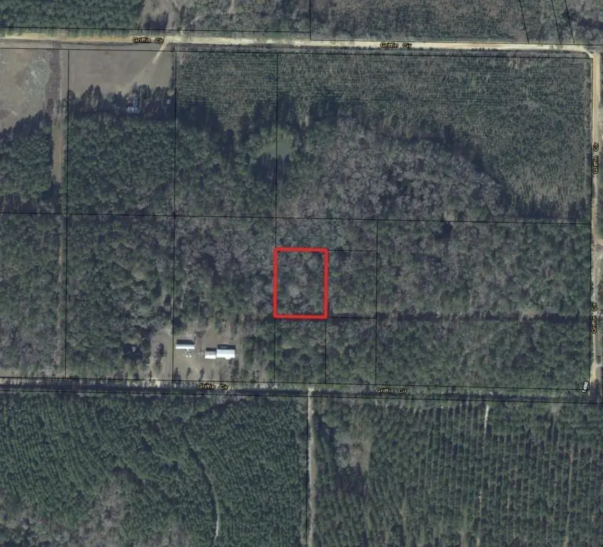 0 Griffin Circle, Westville, FL 32464 - Image #3