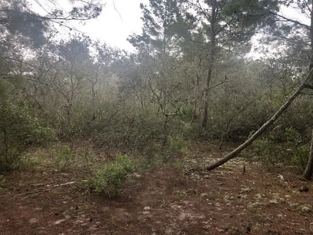 0 Alturas Babson Park Cutoff Rd, Lake Wales, FL 33859 - Image #1