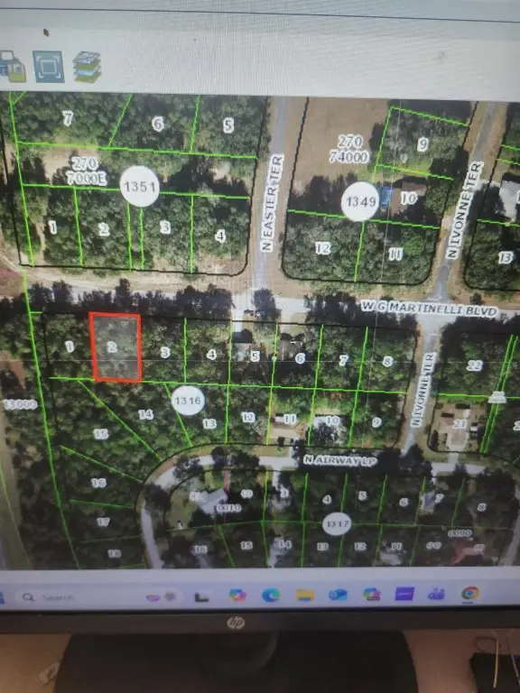 1248 W G Martinelli Boulevard, Citrus Springs, FL 34434 - #1