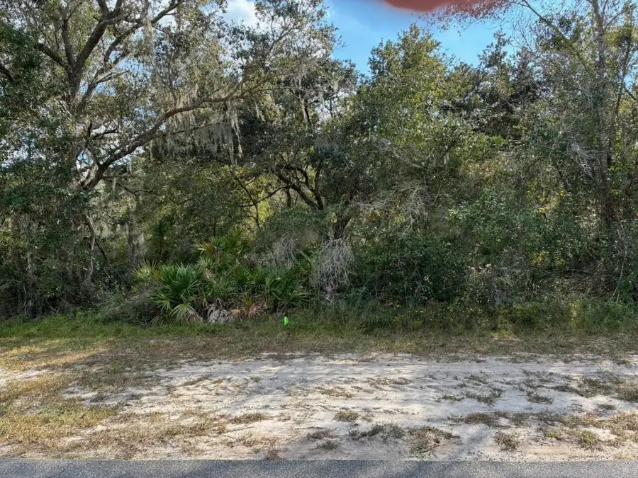 Lot 14, Block 75, Indian Lake Estates, FL  - Image #3