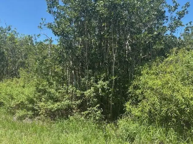 0 Sweet Hill Road, Polk City, FL 33868 - Image #3