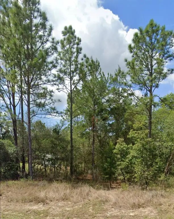 3808 W Indian Rock Place, Citrus Springs, FL 34433 - Image #2