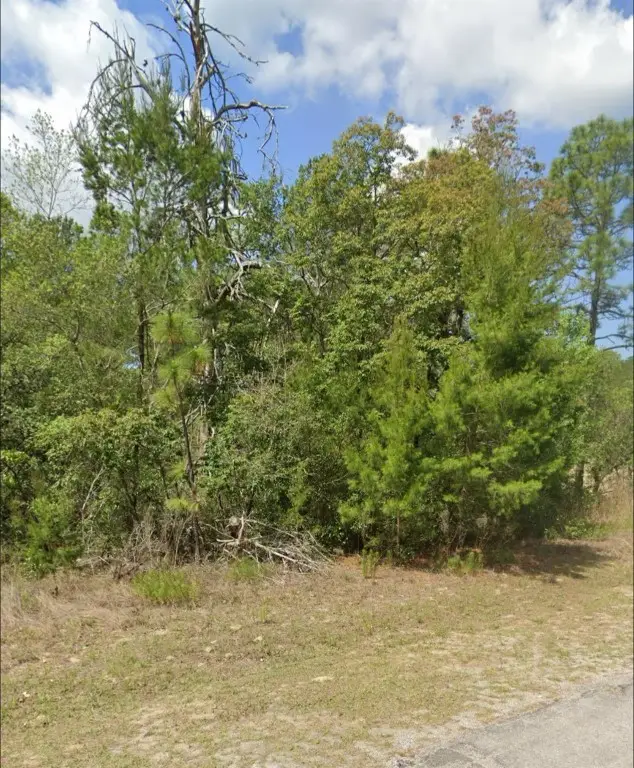 3808 W Indian Rock Place, Citrus Springs, FL 34433 - Image #3