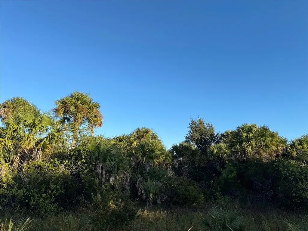 2025 Cabbage Lane, Okeechobee, FL 34974 - Image #1