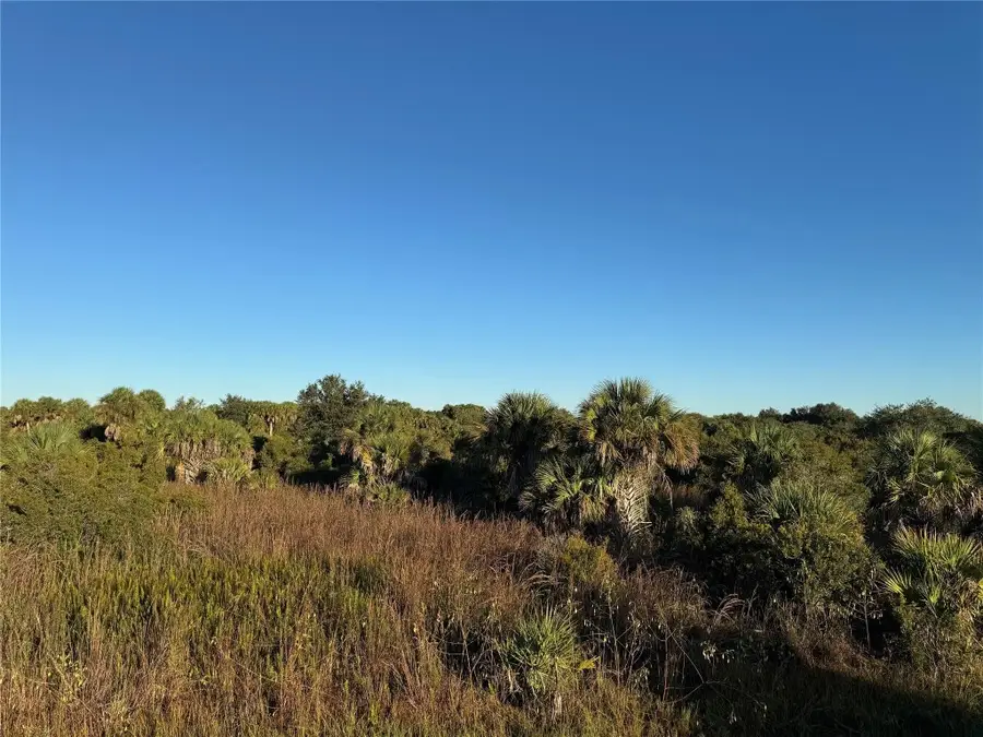 2025 Cabbage Lane, Okeechobee, FL 34974 - Image #3