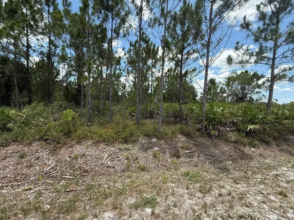 16483 NW 302nd St, Okeechobee, FL 34972 - Image #1