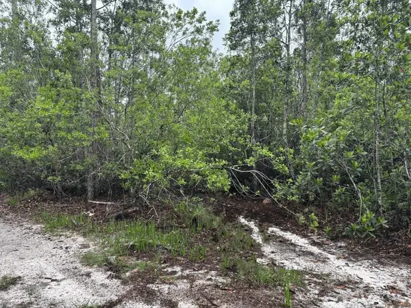 0 Holopaw Groves Road, St Cloud, FL 34772