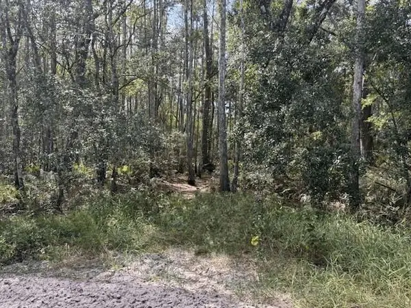 0 County Rd 54 E, Kathleen, FL 33849