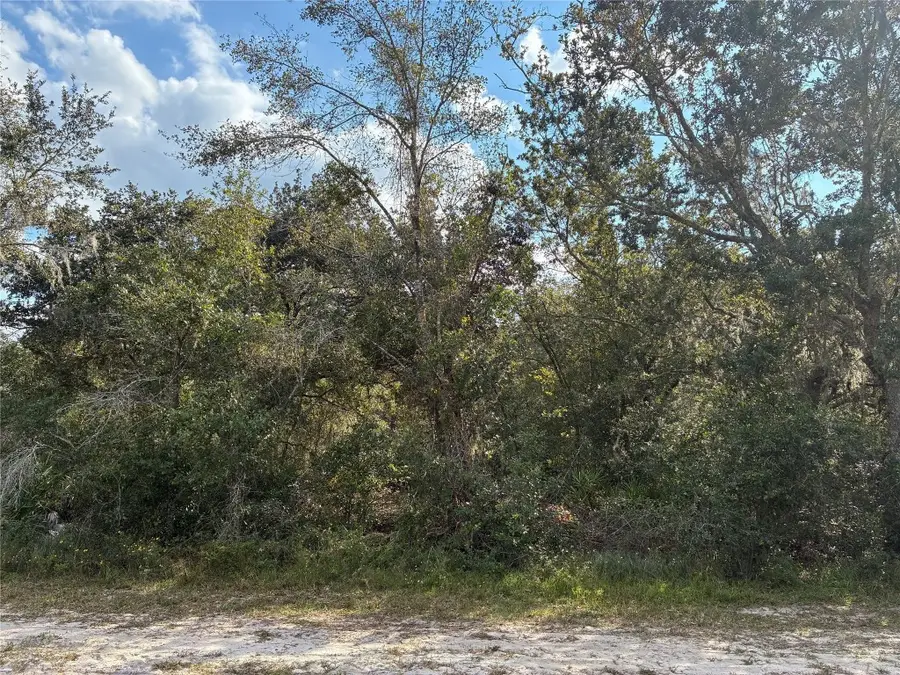 Lot 22, Block 125, Indian Lake Estates, FL  - Image #3