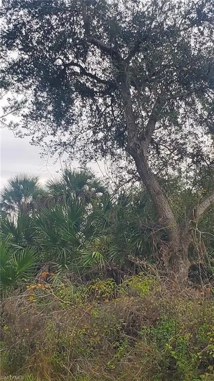 315 Ivanhoe Ave, Labelle, FL 33935 - Image #1