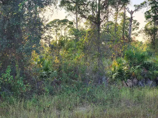 842 Genoa Ave, Lehigh Acres, FL 33974