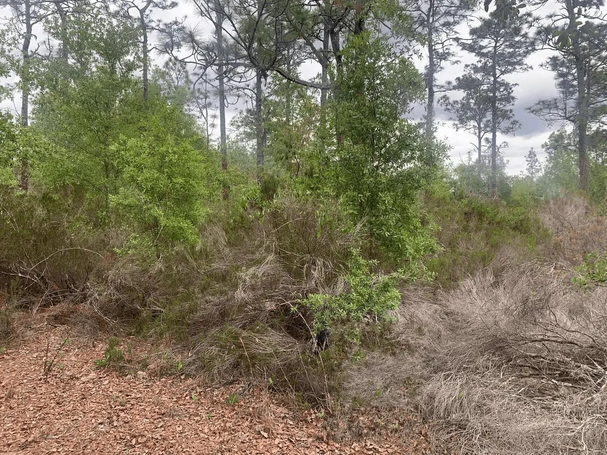 0 Somerset Ave, Interlachen, FL 32148 - Image #1