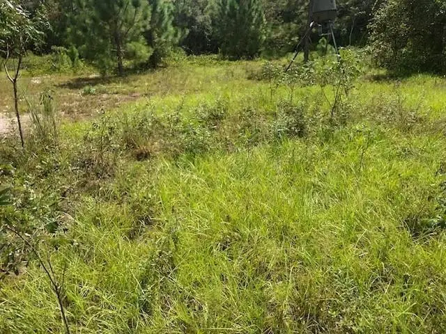 0 Old Grade Road, Polk City, FL 33868 - Image #1