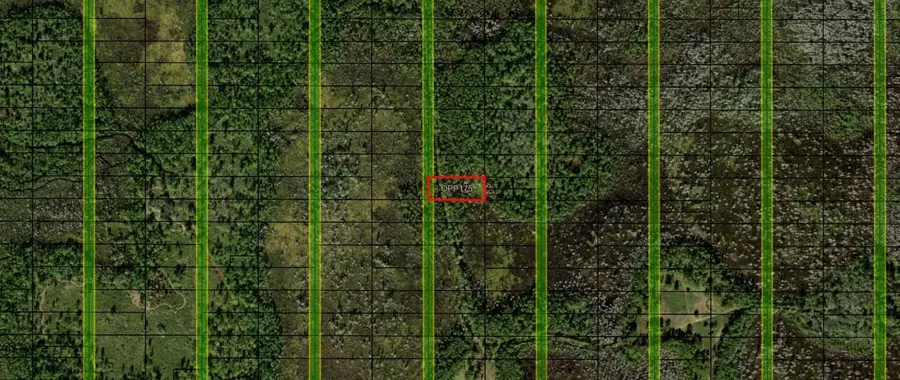 0 Old Grade Road, Polk City, FL 33868 - Image #3