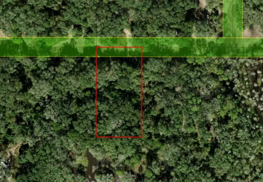 0 County Rd 54, Kathleen, FL 33849 - Image #2